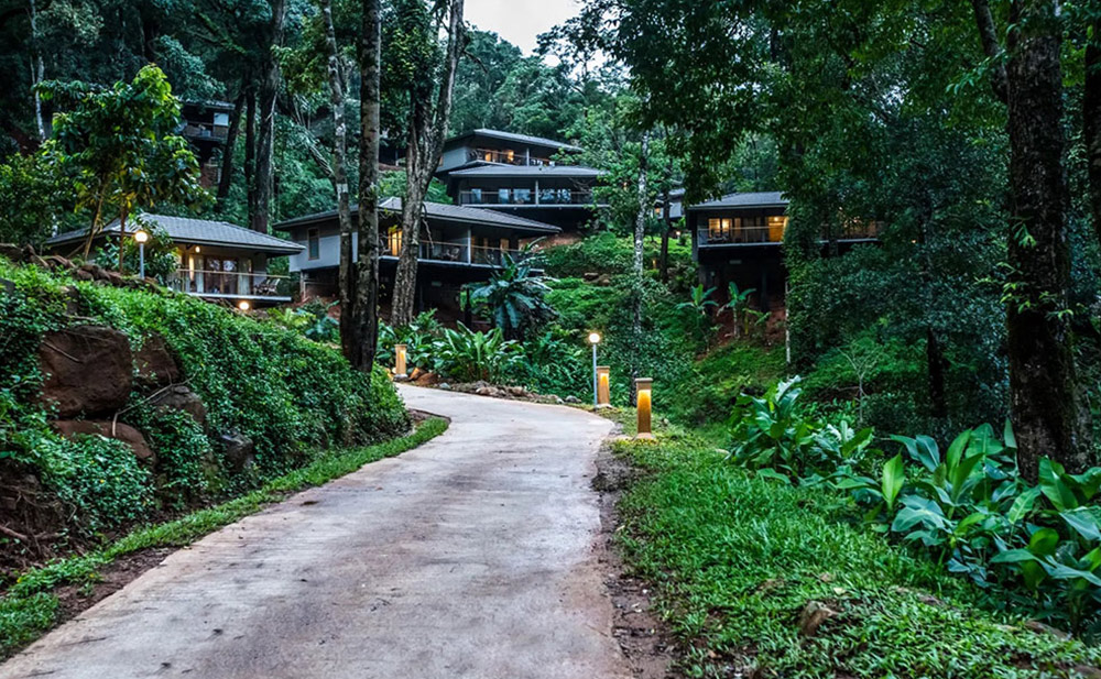 Read more about the article 5 things not to miss in Coorg