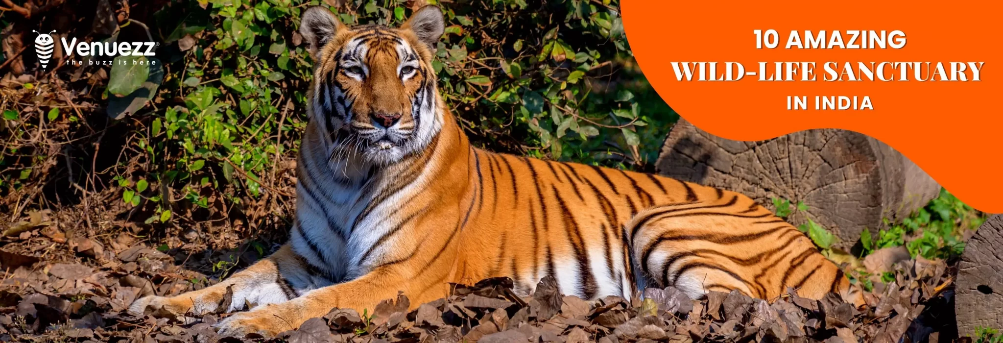 10 Amazing Wildlife Sanctuaries in India for encounters with the wild_slider_venuezz