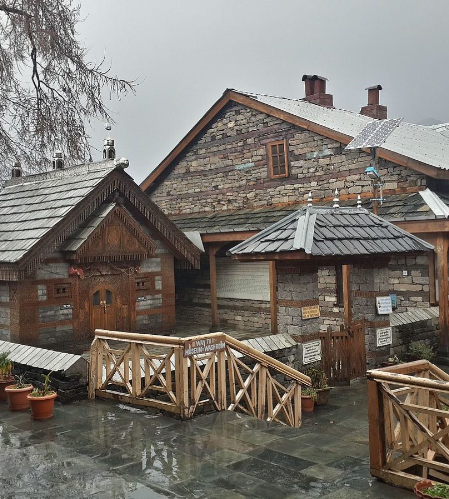 naggar-venuezz