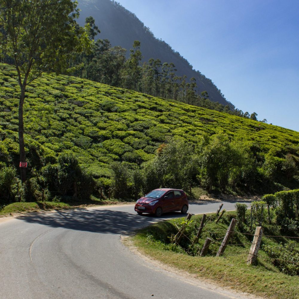 chennai-to-munnar-venuezz